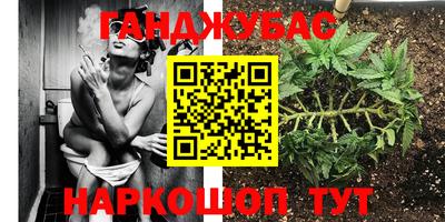 jwh Славгород